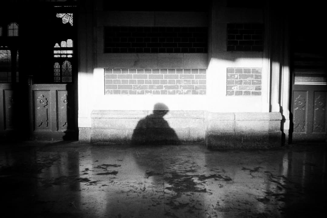 比亚迪许诺：为智能泊车场景下的安全及丢失“全面兜底”